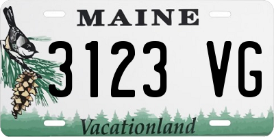 ME license plate 3123VG