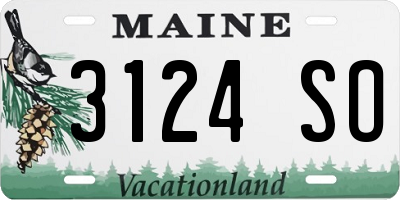ME license plate 3124SO