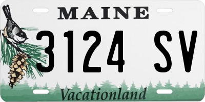 ME license plate 3124SV