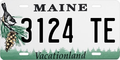 ME license plate 3124TE