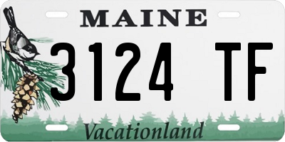 ME license plate 3124TF