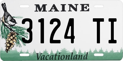 ME license plate 3124TI