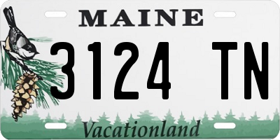 ME license plate 3124TN