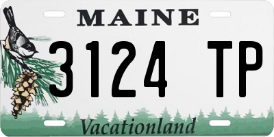 ME license plate 3124TP