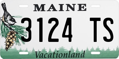 ME license plate 3124TS