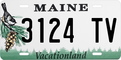 ME license plate 3124TV
