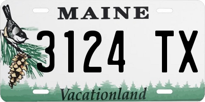 ME license plate 3124TX