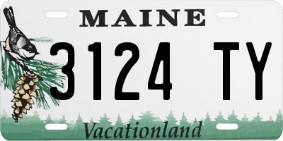 ME license plate 3124TY