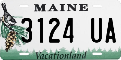 ME license plate 3124UA