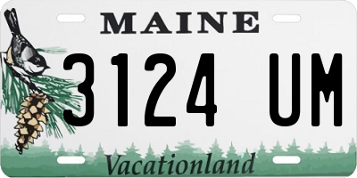ME license plate 3124UM
