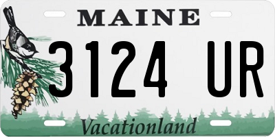 ME license plate 3124UR