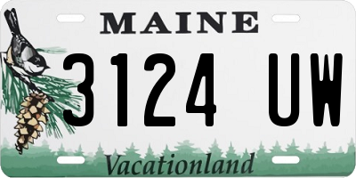 ME license plate 3124UW