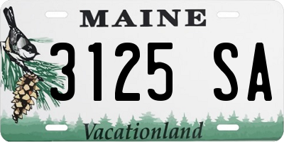 ME license plate 3125SA