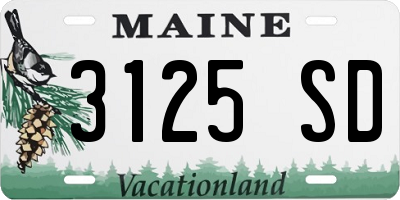 ME license plate 3125SD