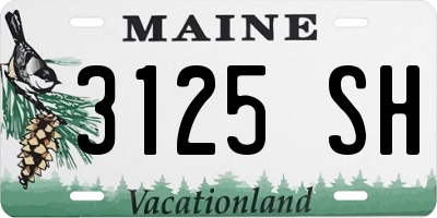 ME license plate 3125SH