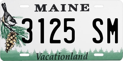 ME license plate 3125SM
