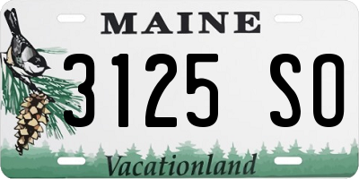 ME license plate 3125SO