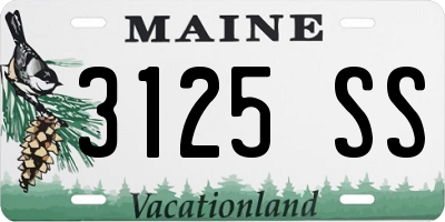 ME license plate 3125SS