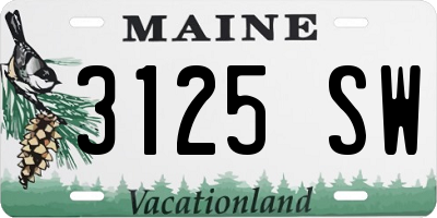 ME license plate 3125SW