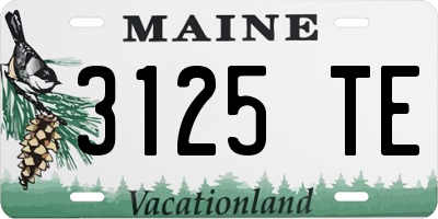 ME license plate 3125TE