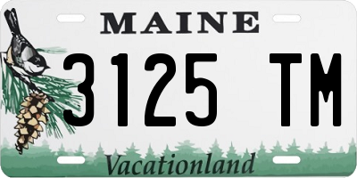 ME license plate 3125TM