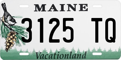 ME license plate 3125TQ