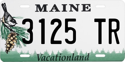 ME license plate 3125TR