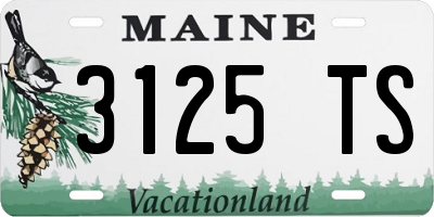 ME license plate 3125TS