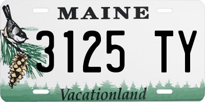 ME license plate 3125TY