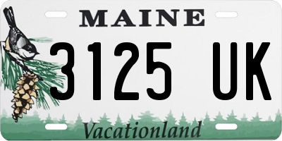 ME license plate 3125UK