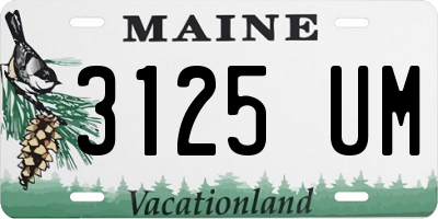 ME license plate 3125UM