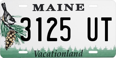 ME license plate 3125UT