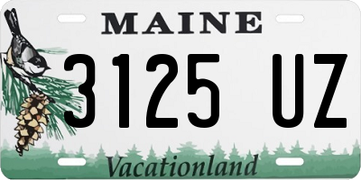 ME license plate 3125UZ