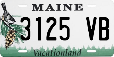 ME license plate 3125VB