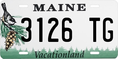 ME license plate 3126TG