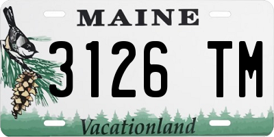ME license plate 3126TM