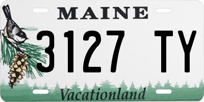 ME license plate 3127TY