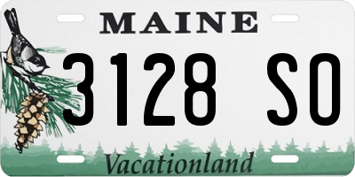ME license plate 3128SO