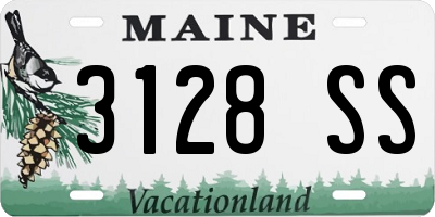 ME license plate 3128SS