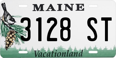 ME license plate 3128ST