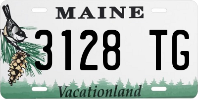 ME license plate 3128TG