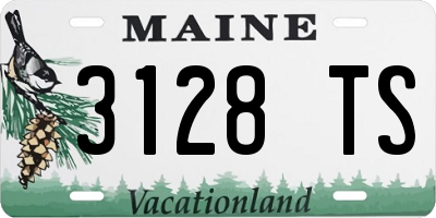 ME license plate 3128TS