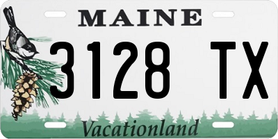 ME license plate 3128TX