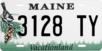 ME license plate 3128TY