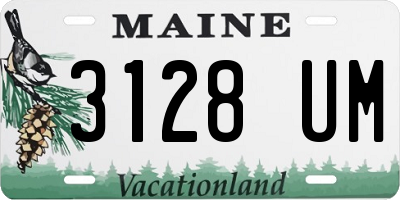 ME license plate 3128UM