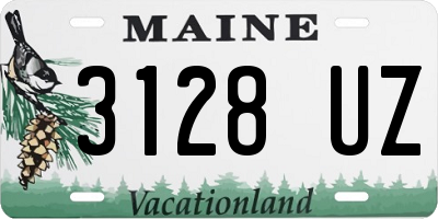 ME license plate 3128UZ