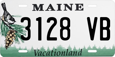 ME license plate 3128VB