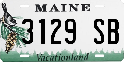 ME license plate 3129SB