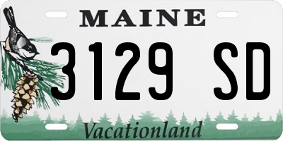 ME license plate 3129SD