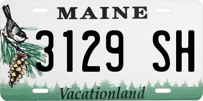 ME license plate 3129SH